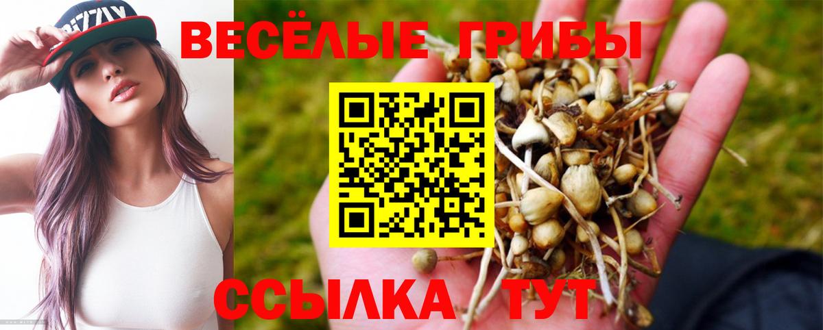 Галлюциногенные грибы GOLDEN TEACHER  Вход с VPN  Спасск-Дальний 